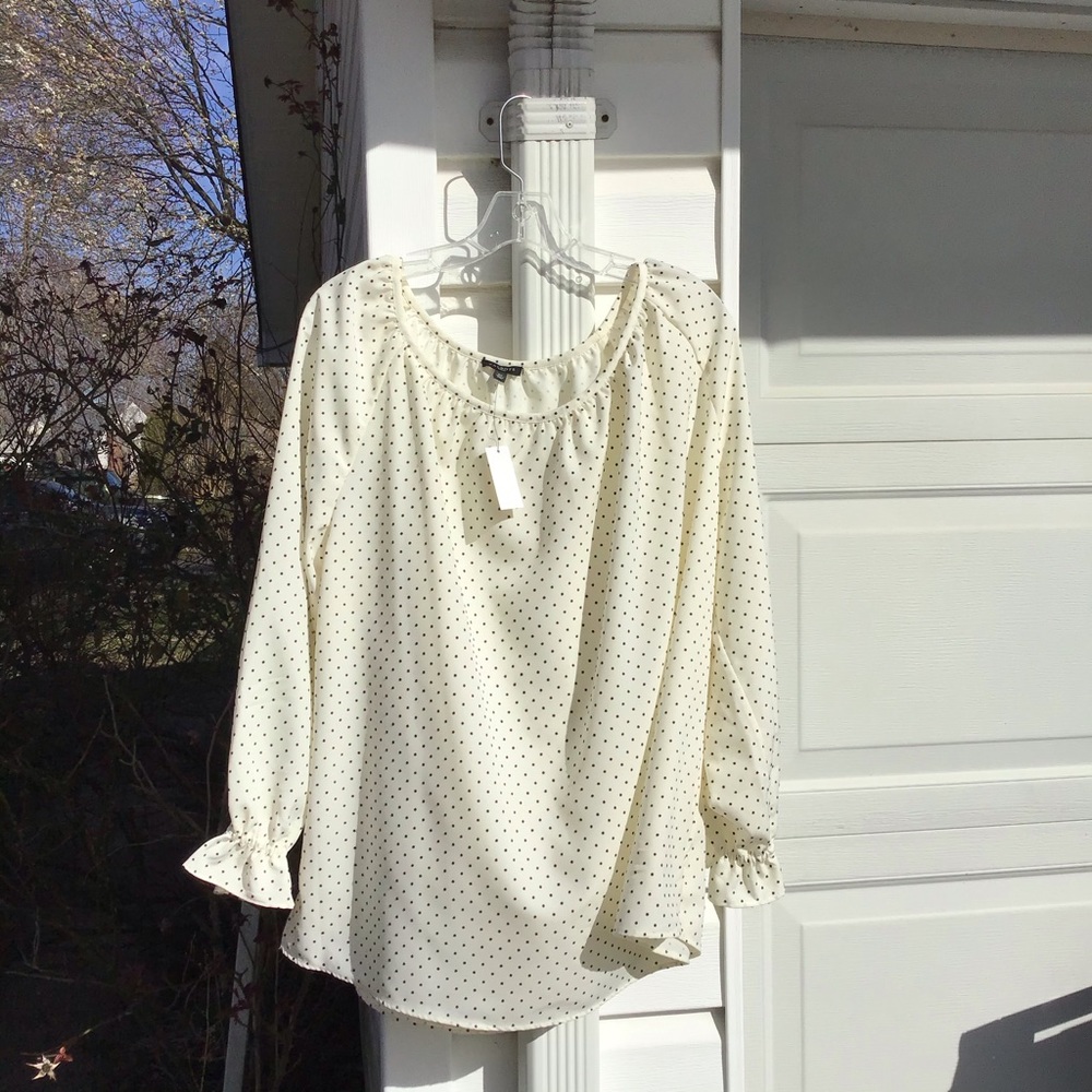 NWT Talbots Cream Flocked Tiny Polka Dots Blouse